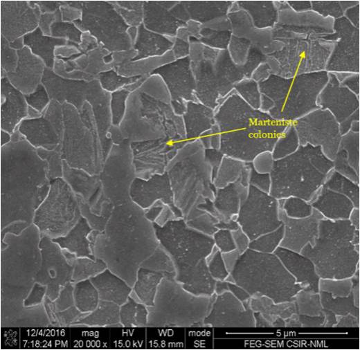 dual phase(DP) ferrite-martensite microstructure obtained in Grade C steel