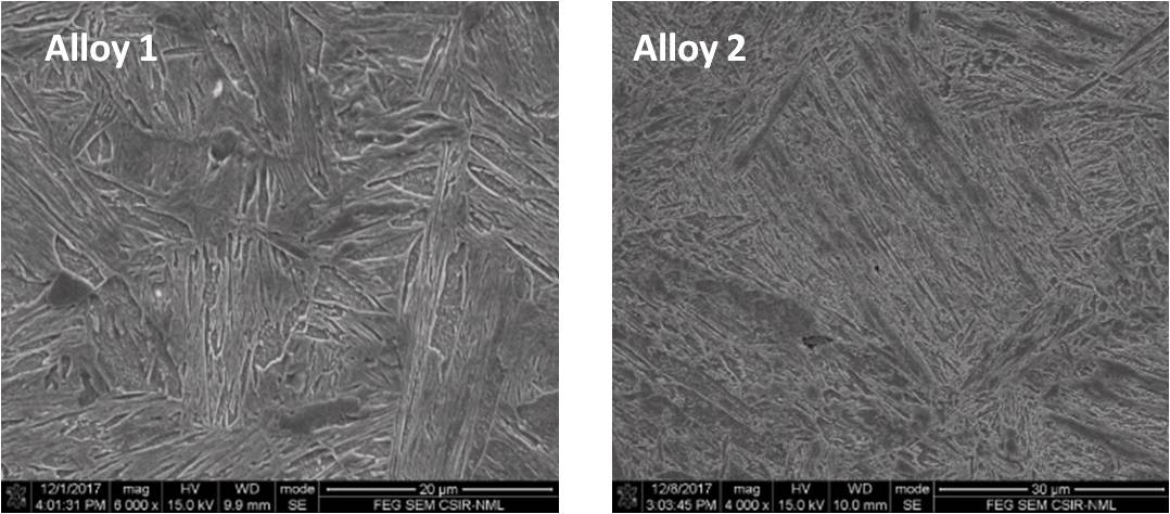 SEM image showing mostly martensitic structure in hot rolled sheet(~20 mm) of alloy 1 and alloy 2